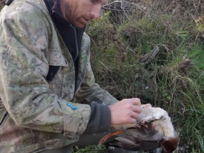Happy hunter Mark Atkinson preps a bird from his successful morning hunt S