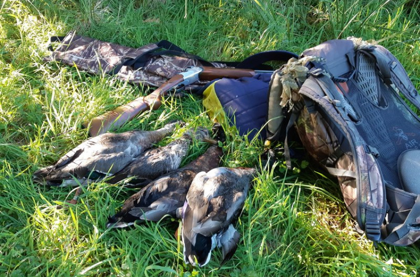 Wellington Weekly Hunting Report 10th May 2018