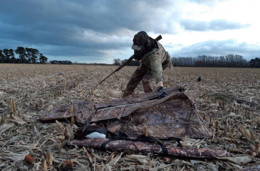 Wellington Weekly Hunting Report 14th June 2018