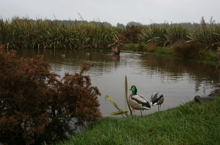 Wellington Weekly Hunting Report - 2 May 2019