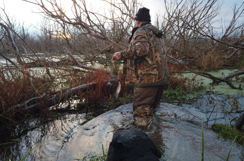 Wellington Weekly Hunting Report - 20 June 2019