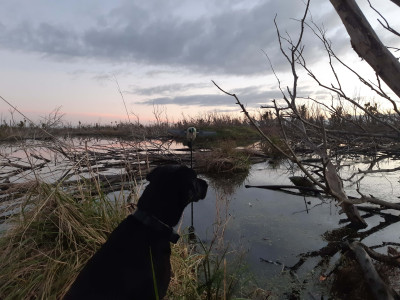 WR Hunt 27 June 2019 edited Copy