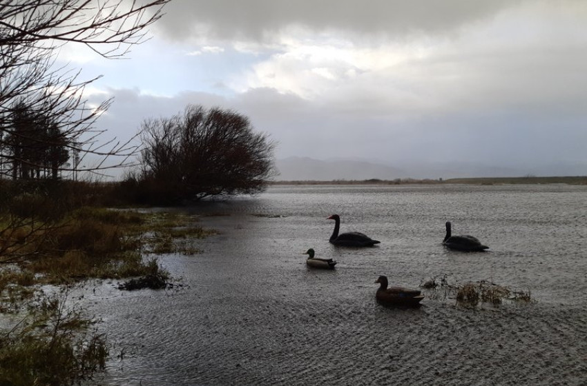 Wellington Weekly Hunting Report 28th June 2018
