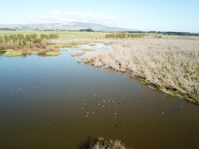 Cover image May 3 2018