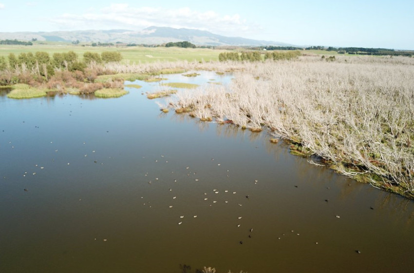 Wellington Weekly Hunting Report 3rd May 2018