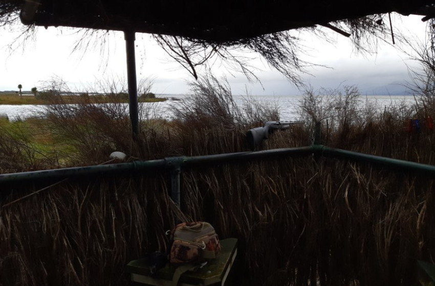 Wellington Weekly Hunting Report 7th June 2018