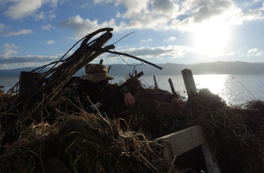 Wellington Weekly Hunting Report – June 08 2017
