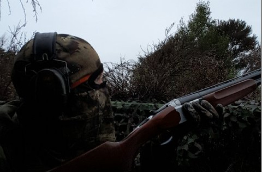 Wellington Weekly Hunting Report – May 18 2017