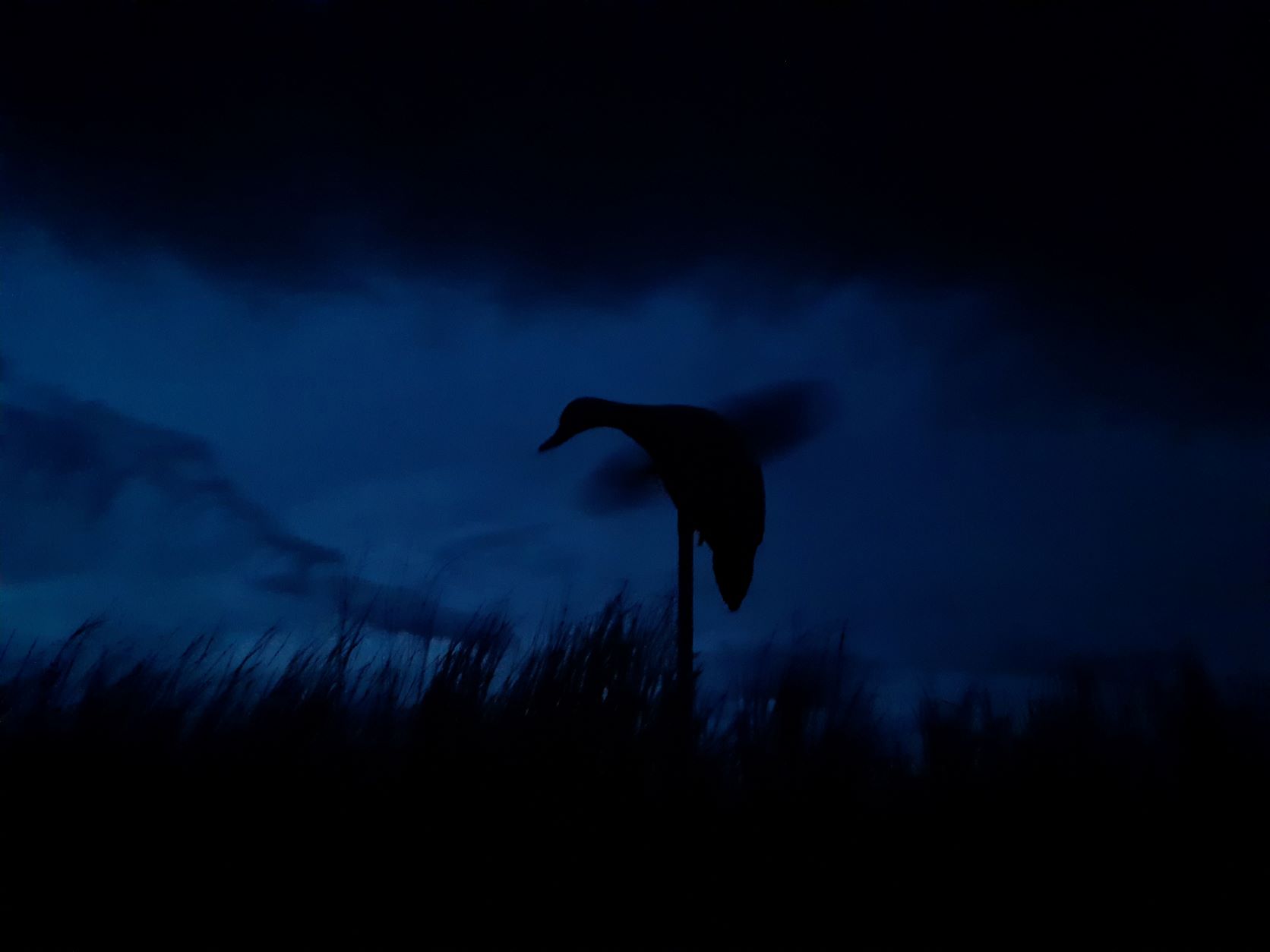 Motion Decoys GBB12May2022
