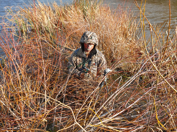 Wary mallards are much more likely to approach decoys set around natural cover than a maimai late in the season