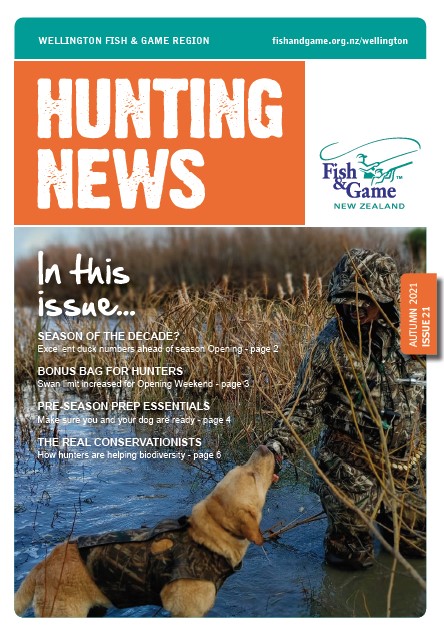 Newseltter Cover