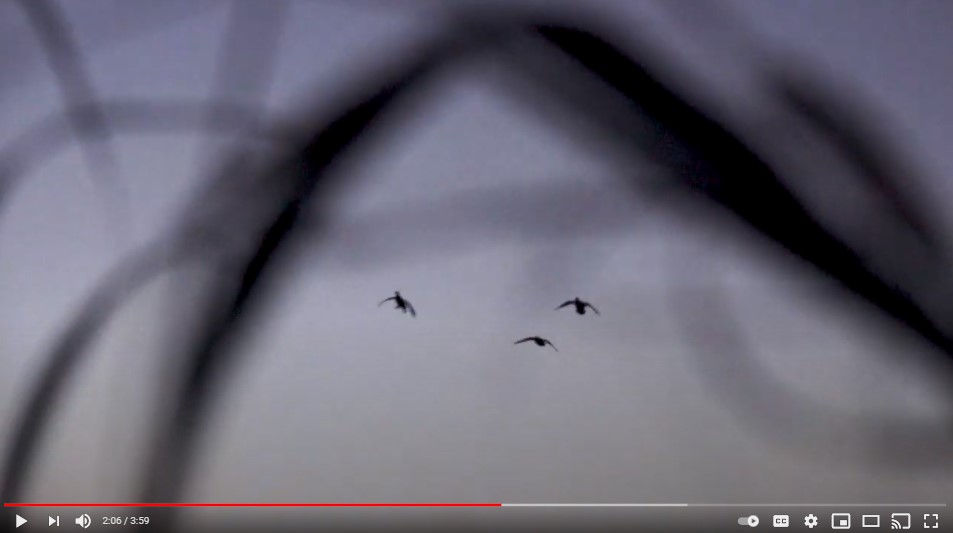 Video17Jun2021