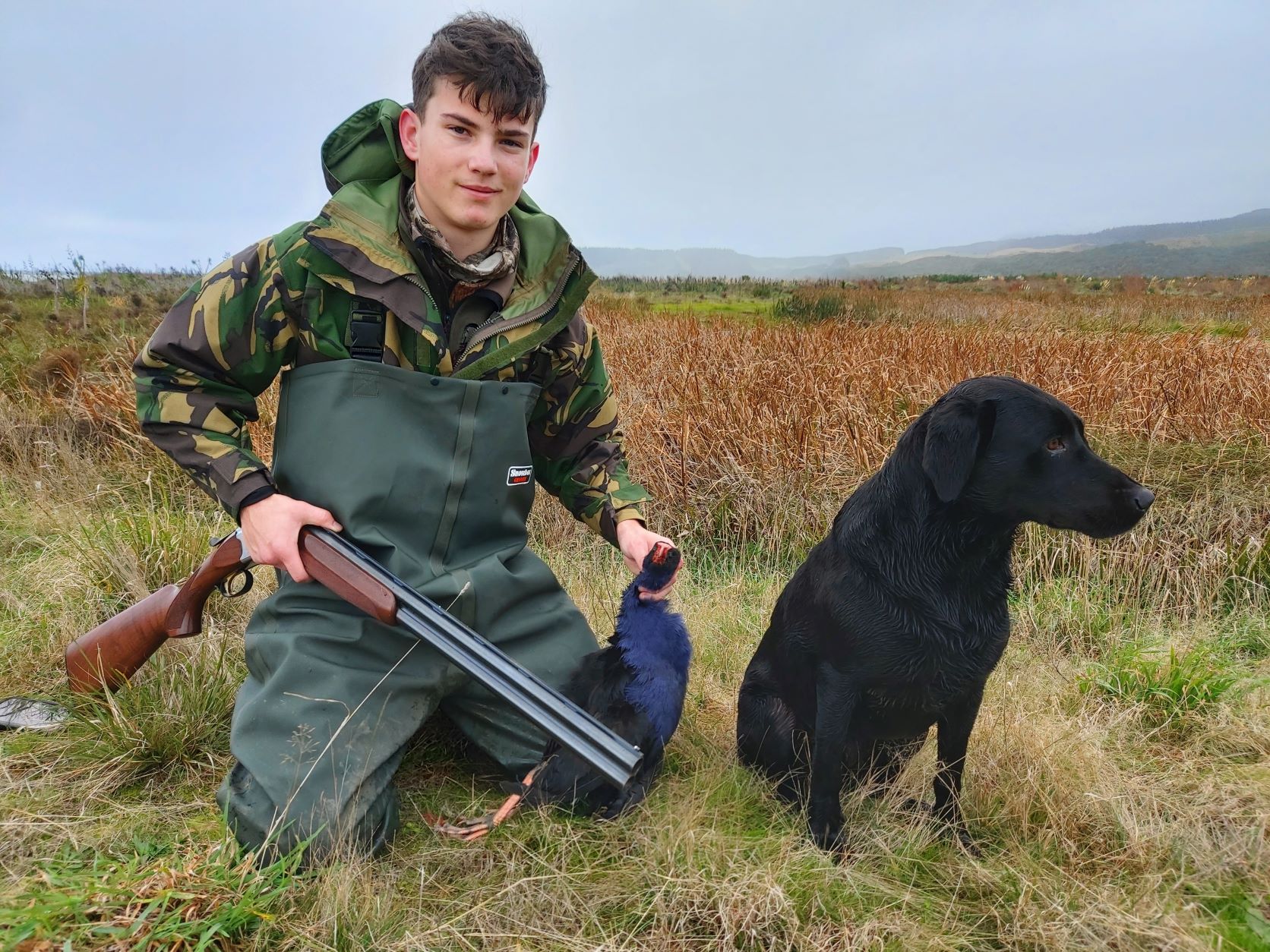 Pukeko are murder on ducklings and other waterfowl take time to target a few this season Hamish Carnachan WEB