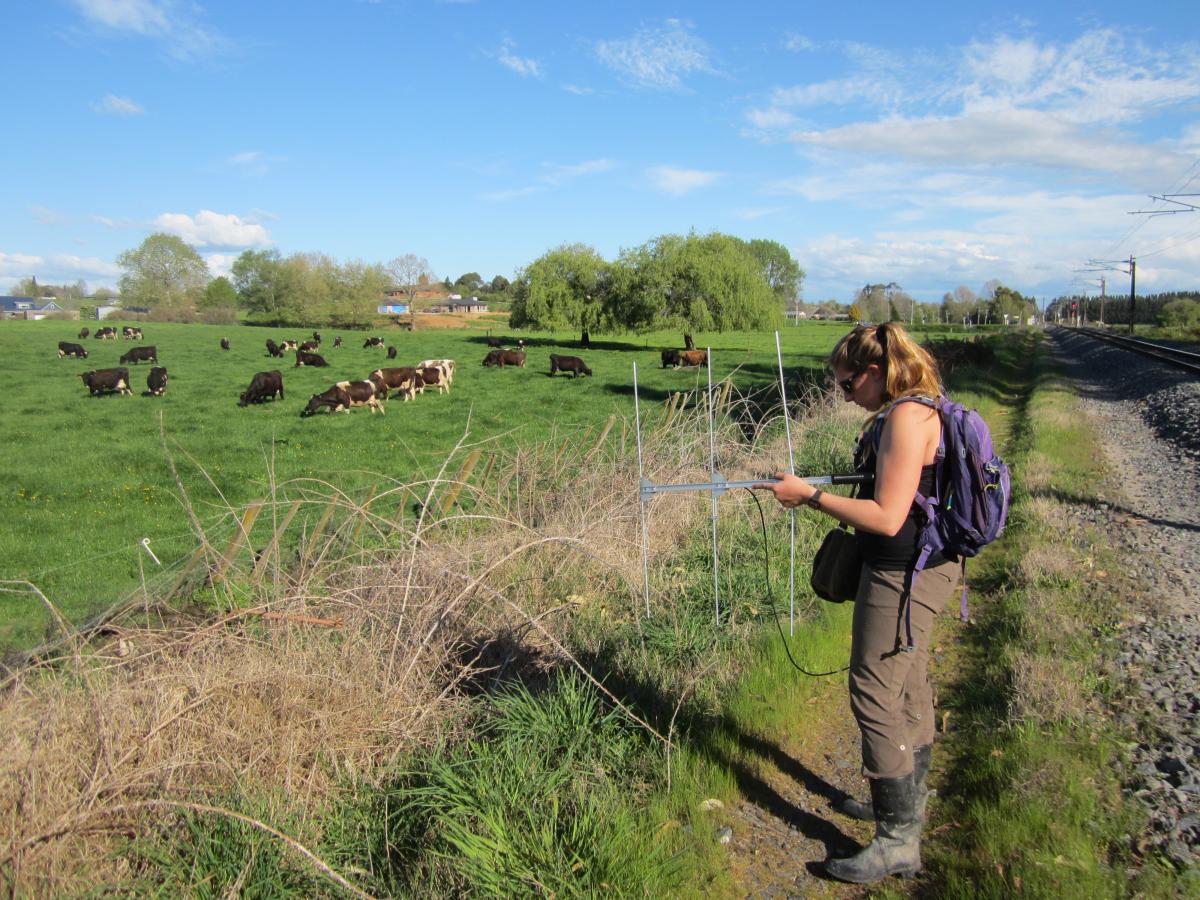 Research technician Julie Unfried tracking ducks 0