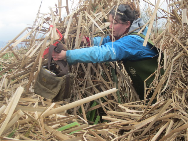 Jenn locatingnest 2