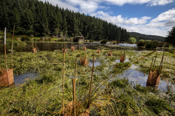 4ae3525e 0e04 4221 895b 192abeccaef4