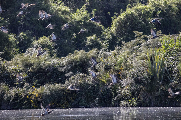 cdb453b2 172b 4cf8 8d0c abd60c0e9412