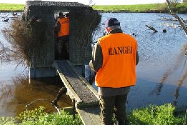 BBcsiMay 2 Rangers were active on Opening Weekend credit Rhys Adams