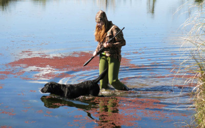faq hunting near Te Puke eastern
