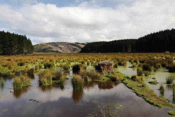 5656ce52 2648 41ca b3a4 97bb3d990fa2