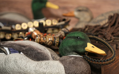 shutterstock 714212062