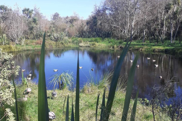 f4e0d505d3feba979814a9cad3228769.0