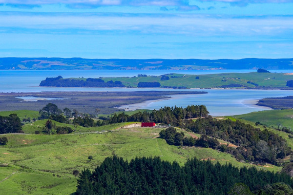 kaipara harbour