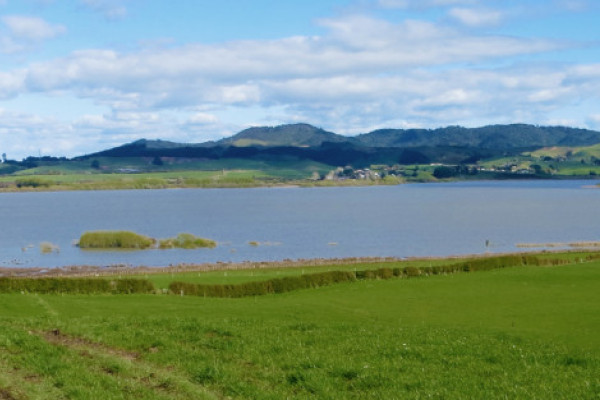 Lake waahi