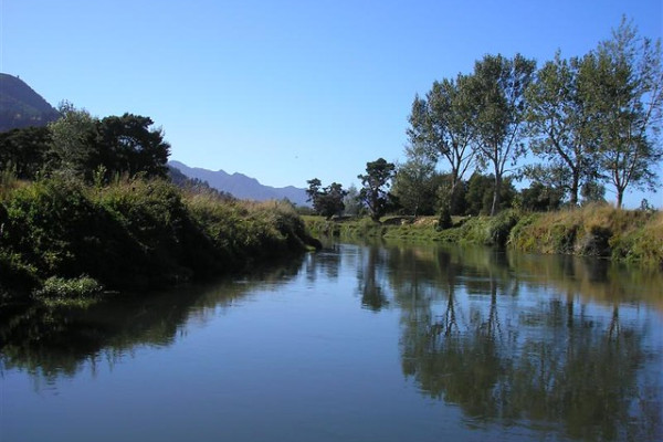 Waihou river te aroha