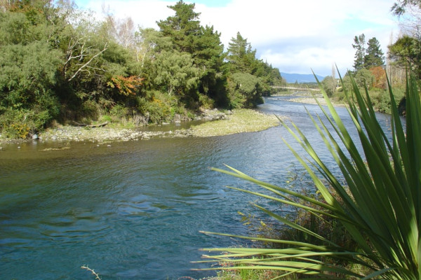Waikato river 2
