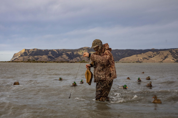 1. Wairau Lagoons decoys