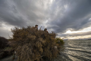 2. Wairau Lagoons maimai