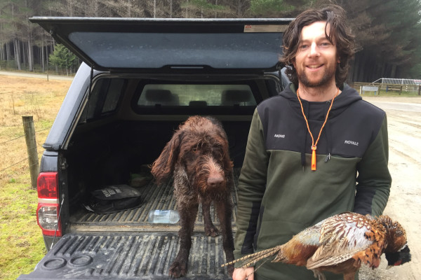 7. Rabbit Island rooster