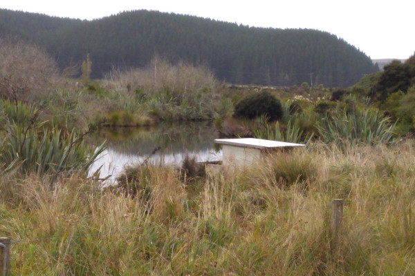 April 22 Toko Mouth Pond