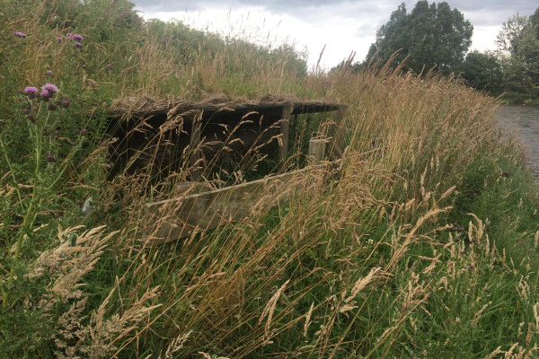 Maimai on Public land