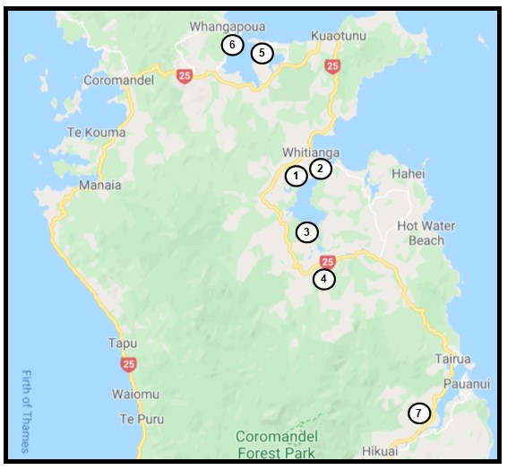 Coromandel g
