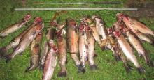 FG poached trout with iron bar and golf club