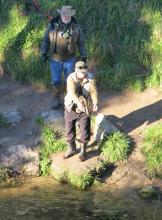 Casting into the Ngongtaha Stream.