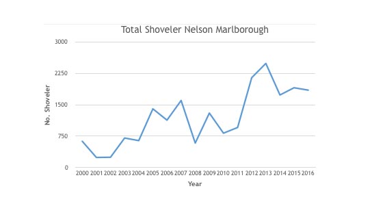 shovegraph