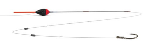 Picture1