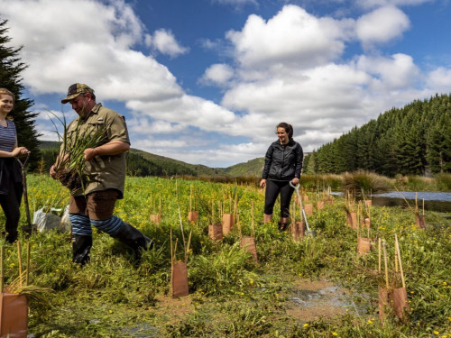 FGNZ0707a 2 scaled e1698708066234