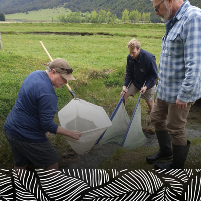 Protecting future wilderness