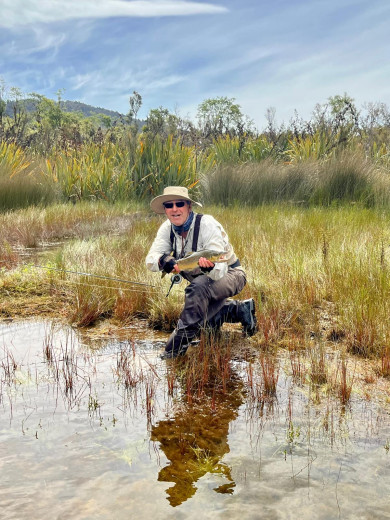 16e8339d 2a12 4e0a b6ca fbc5a07cb94e