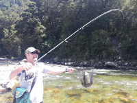 3fcff0f7e79e507567cb41db4d305f14