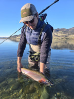 6f4219ca 7d6a 4920 88e6 b19326cfebdc