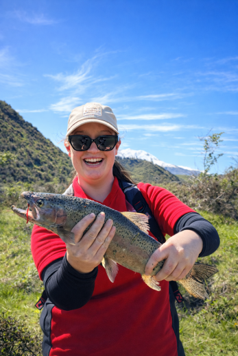 C2D24DE4 74F1 4DFC B346 E341F90465C9