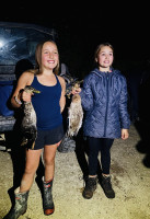 IMG 4641