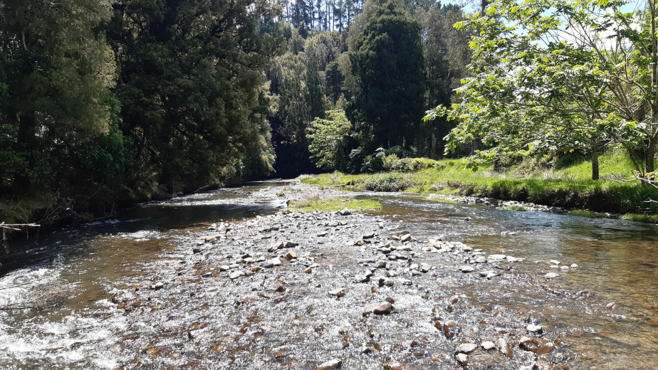 Moakurarua River   Peter Hooper (Dec 2025)