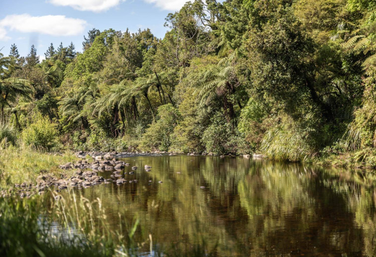 Waitawheta River Peter Hooper Jan 2026