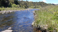 Waitawheta River   Peter Hooper (Nov 2025)